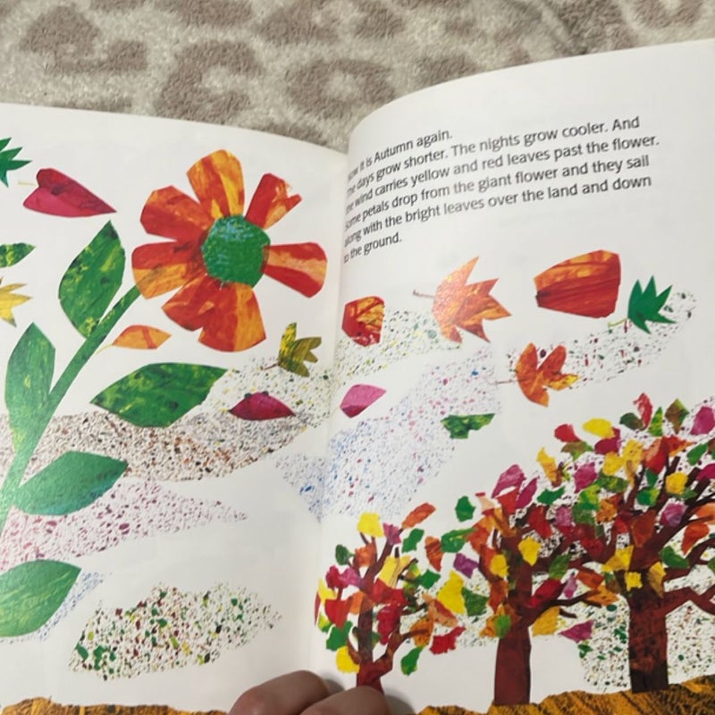 The Tiny Seed