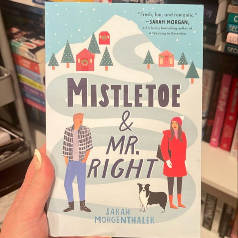 Mistletoe and Mr. Right