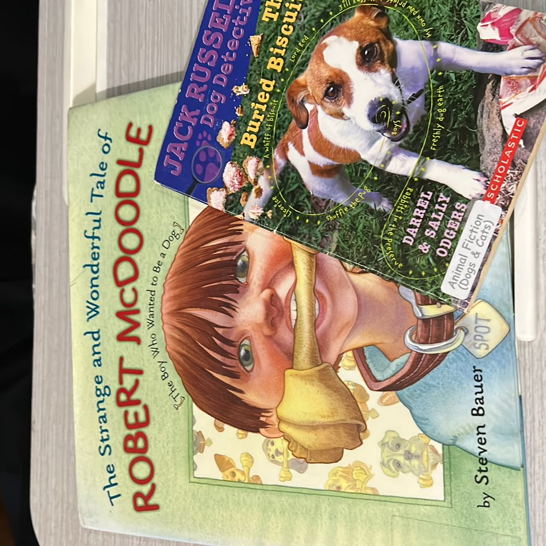 Strange and Wonderful Tale of Robert McDoodle