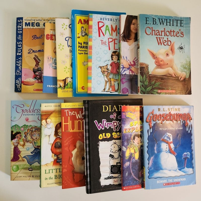 Children's Chapter Book Lot of 13