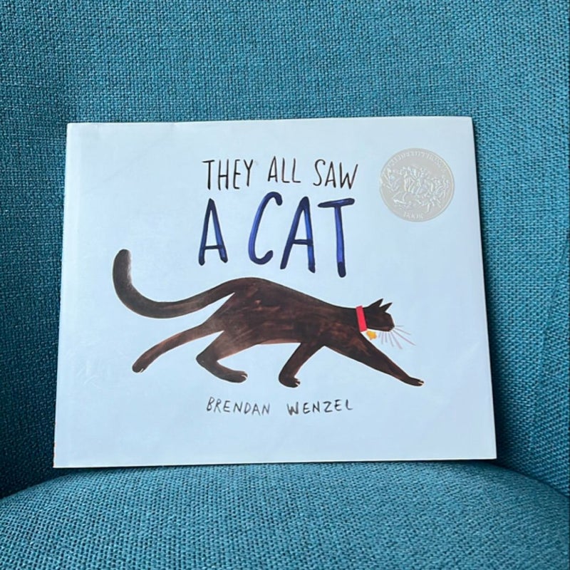 They All Saw a Cat (Cat Books for Kids, Beginning Reading Books, Preschool Prep Books)