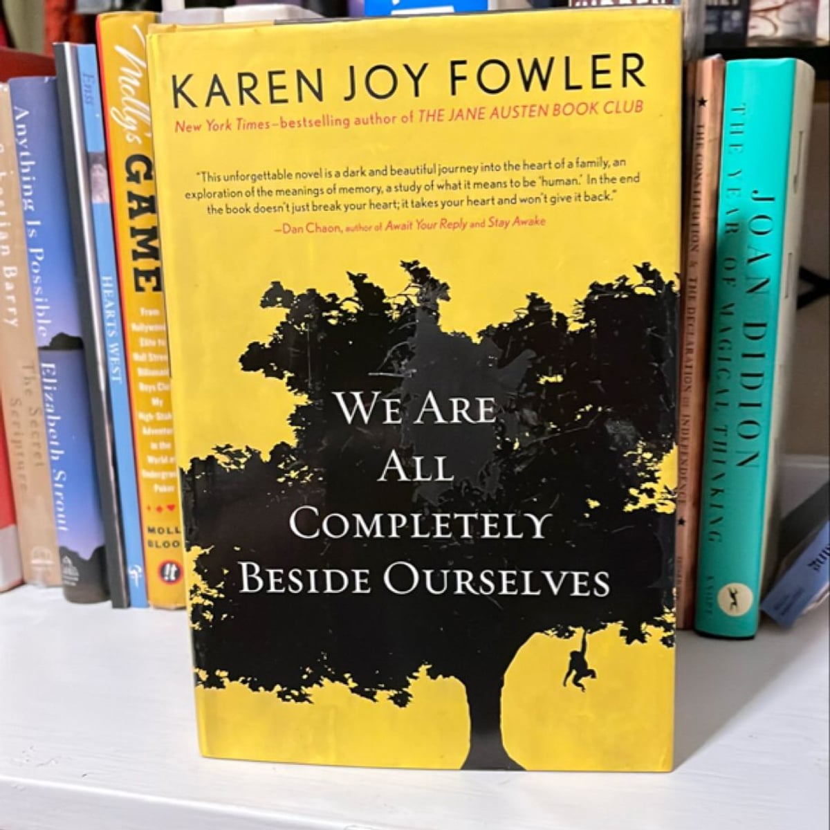 We Are All Completely Beside Ourselves by Karen Joy Fowler,