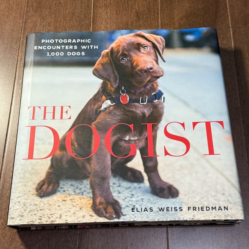 The Dogist