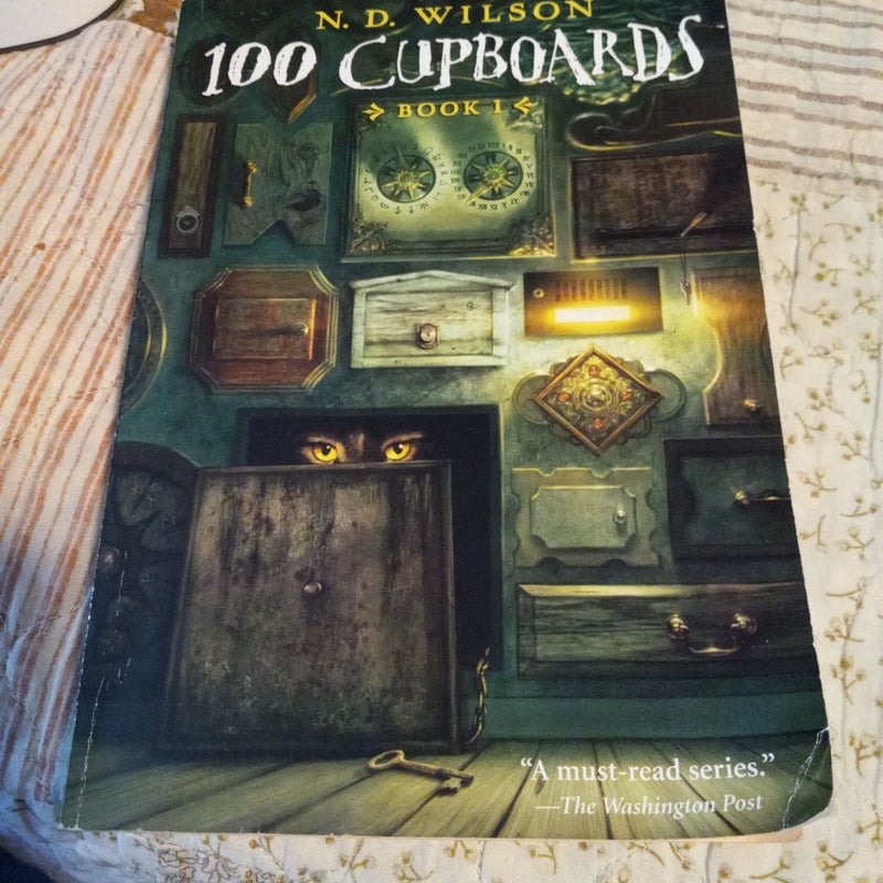 100 Cupboards (100 Cupboards Book 1)