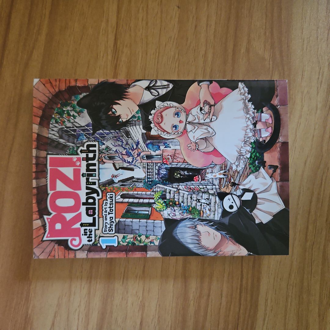 Rozi in the Labyrinth Vol. 1