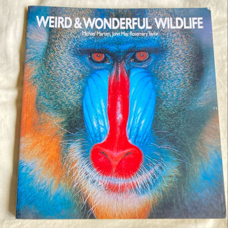 Weird and Wonderful Wildlife