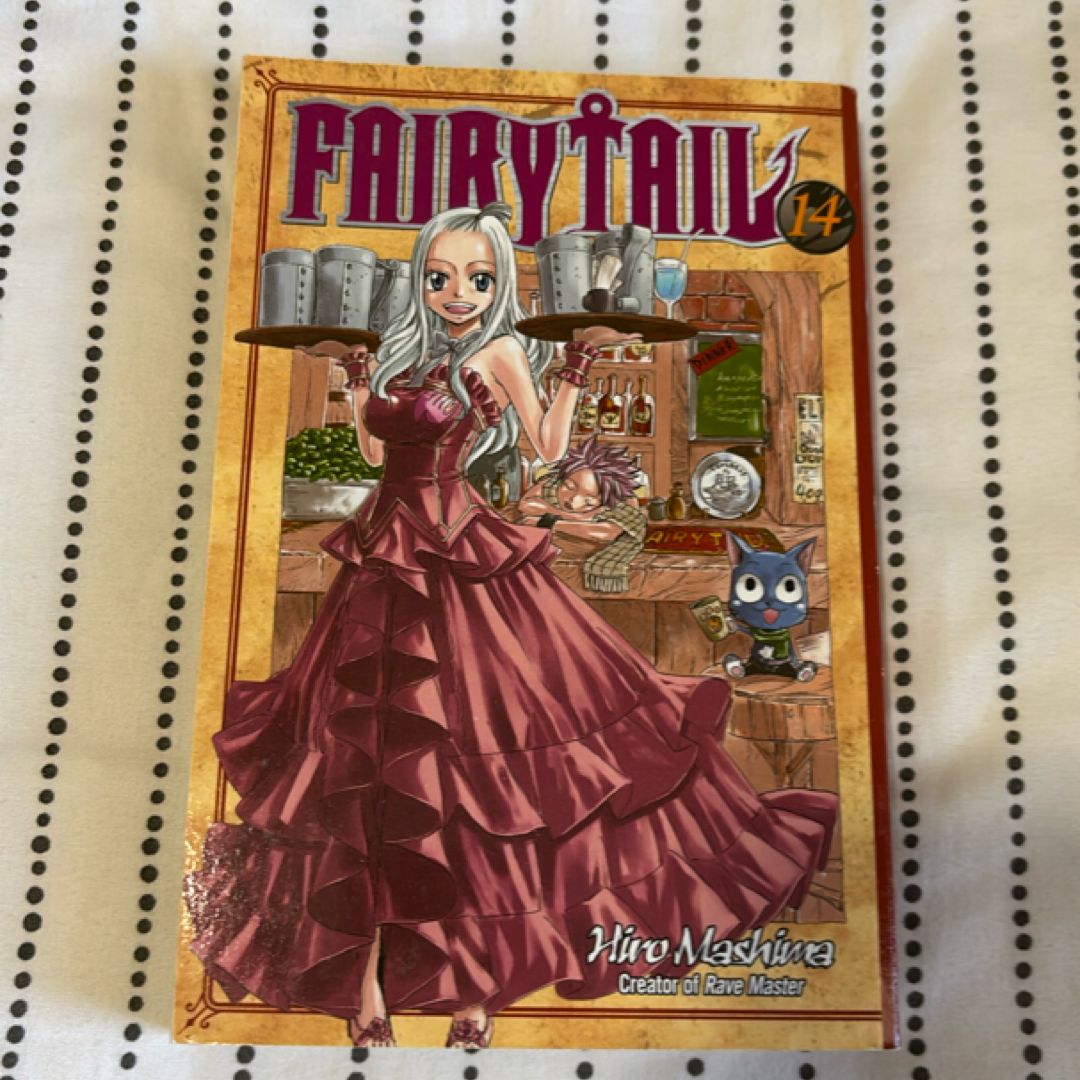 Fairy Tail 14