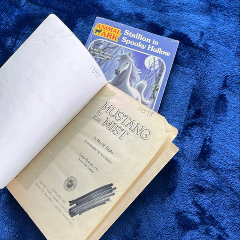 BOOK BUNDLE: Mustang in the Mist and Stallion in Spooky Hollow