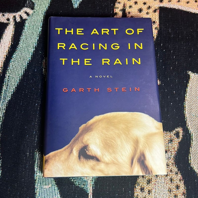 The Art of Racing in the Rain