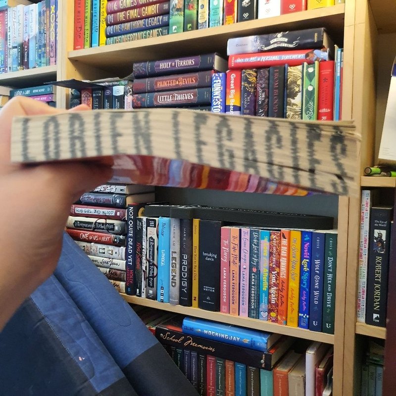 I Am Number Four: the Lost Files: Hidden Enemy