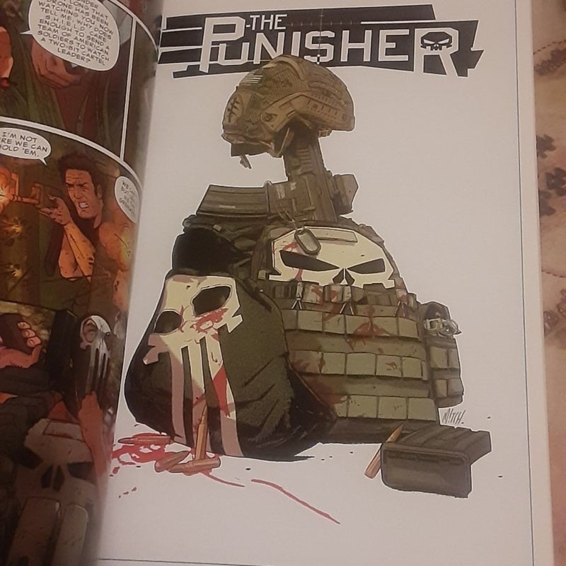 The Punisher Volume 2