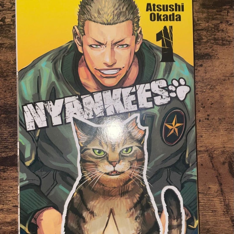 Nyankees, Vol. 1