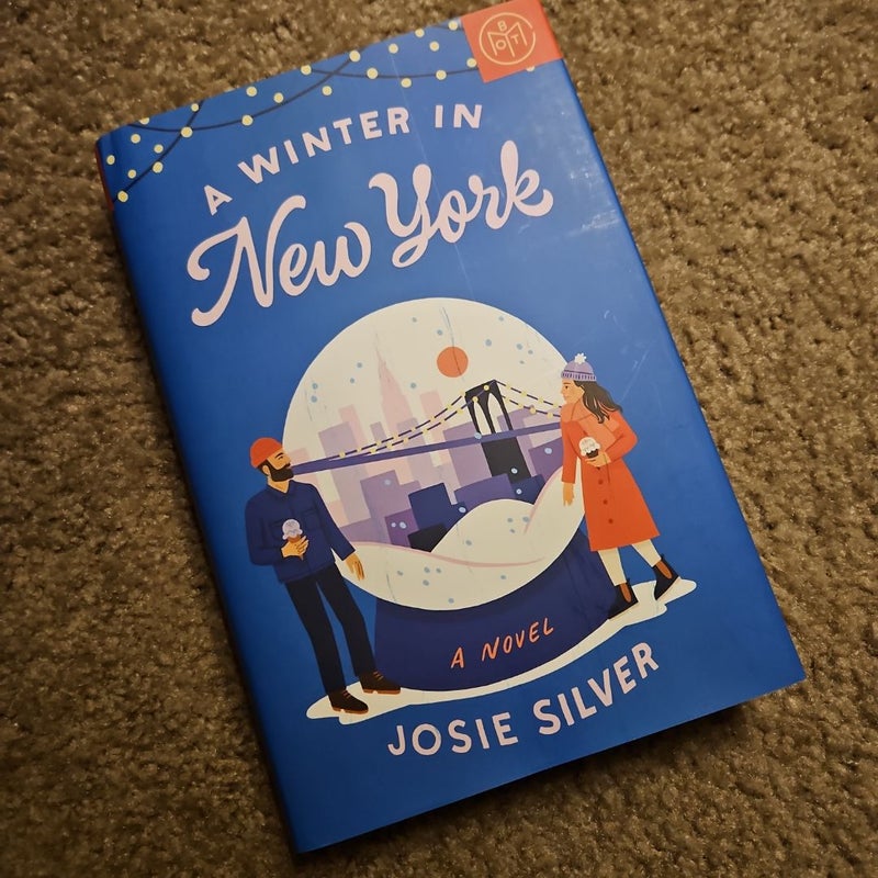 A Winter in New York