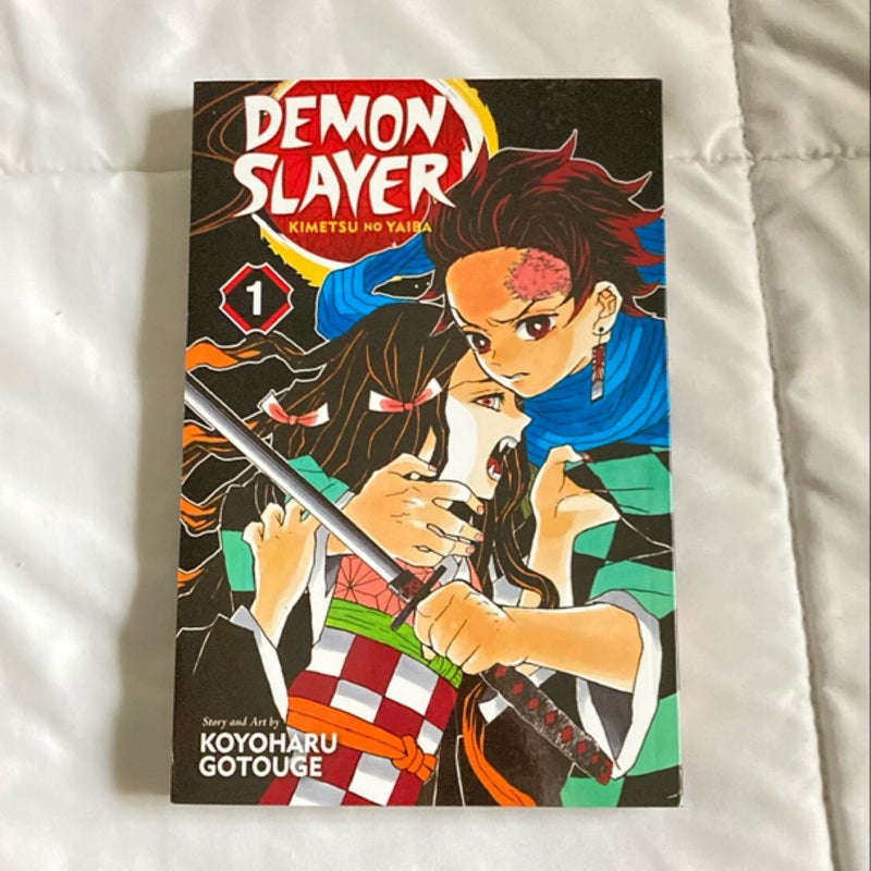 Demon Slayer: Kimetsu No Yaiba, Vol. 1