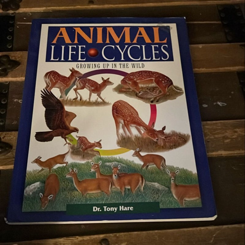 Animal Life Cycles