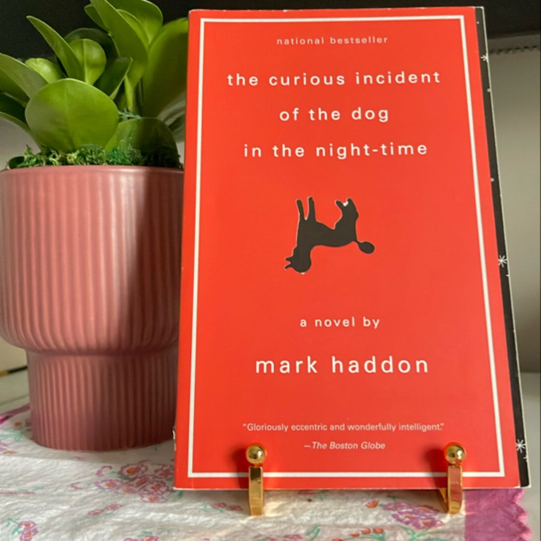 The Curious Incident of the Dog in the Night-Time