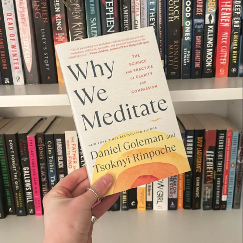 Why We Meditate