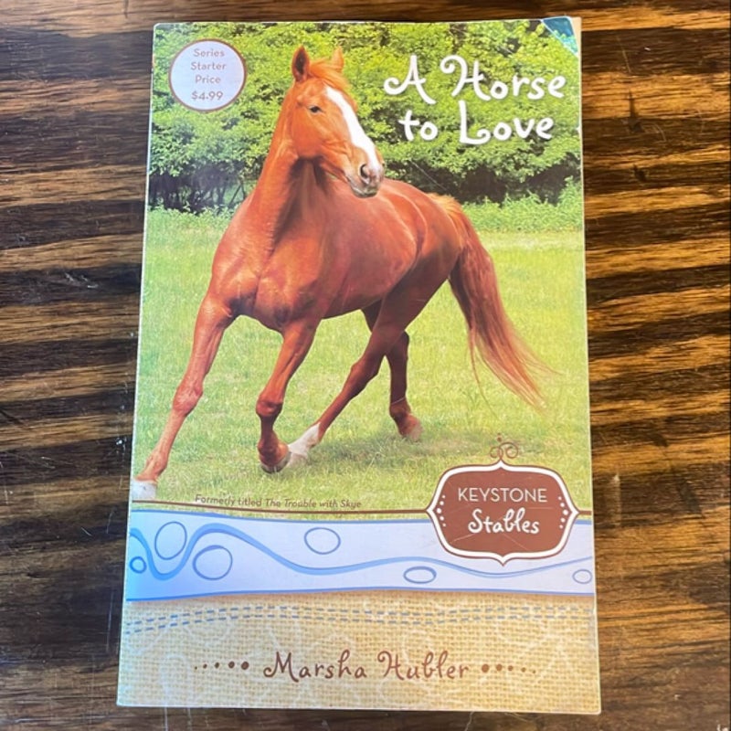 A Horse to Love