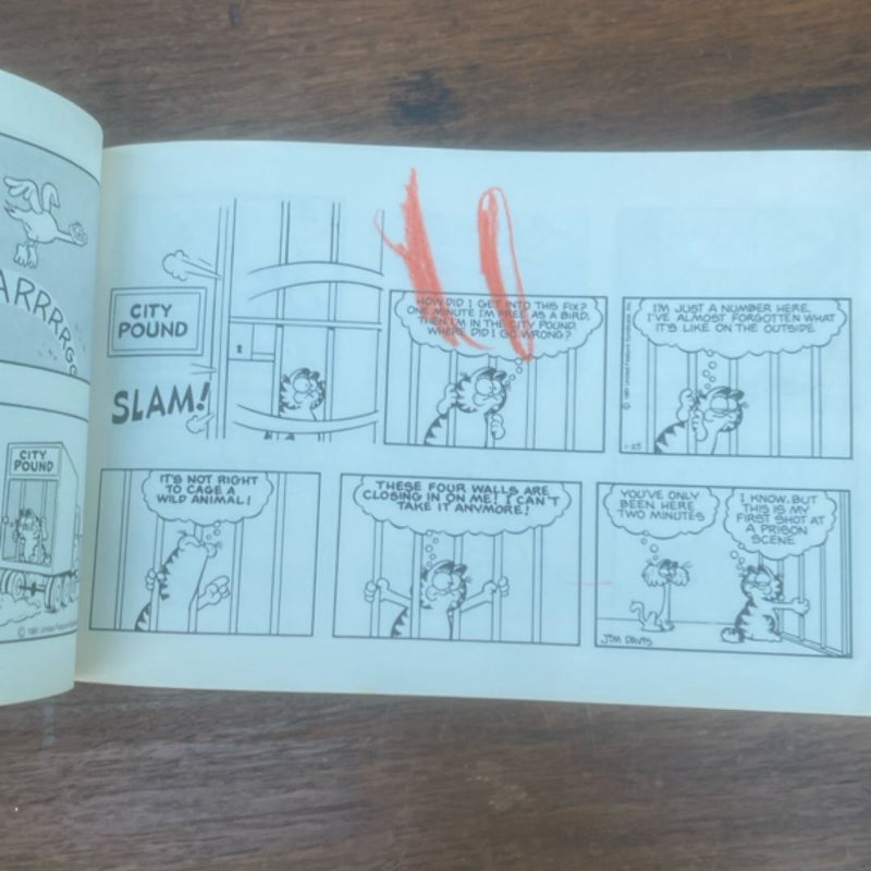 Garfield takes the Cake