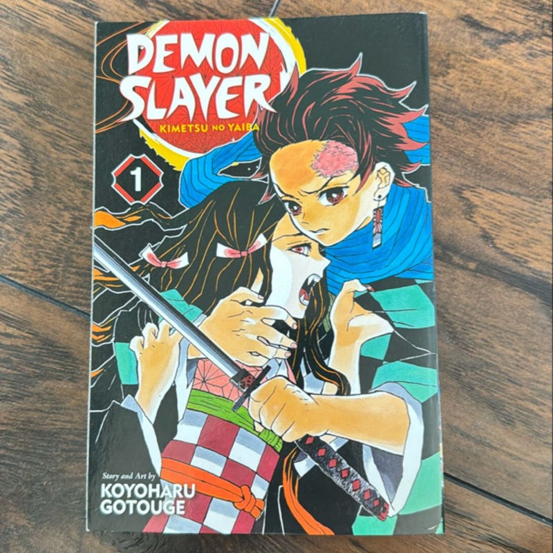 Demon Slayer: Kimetsu No Yaiba, Vol. 1