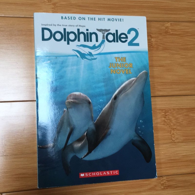 Dolphin Tale 2