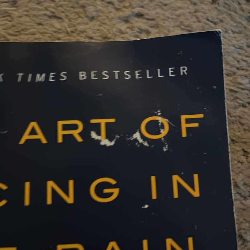 The Art of Racing in the Rain