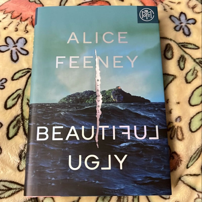Beautiful Ugly