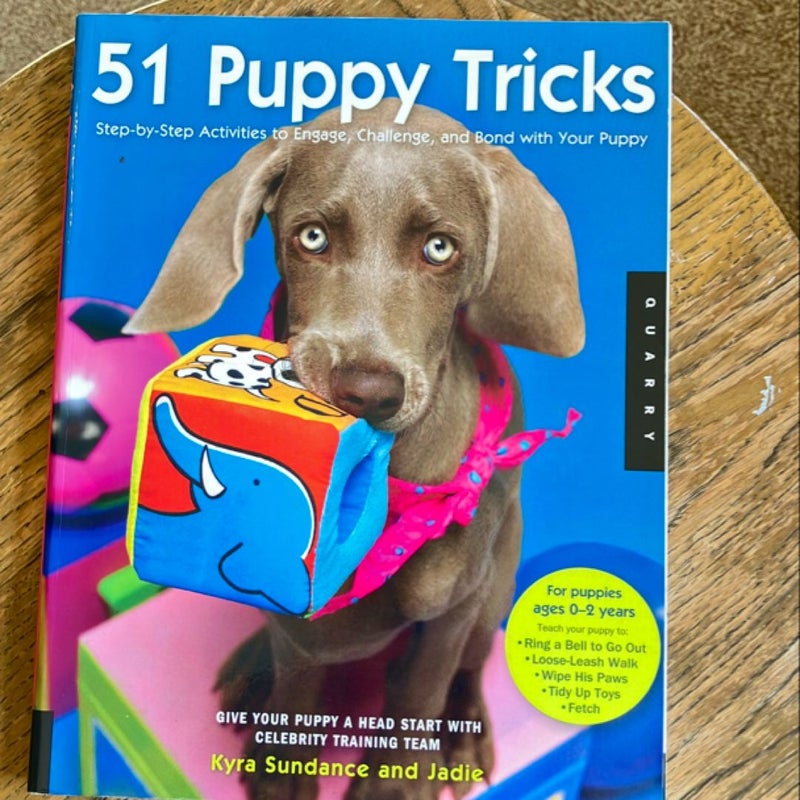 51 Puppy Tricks