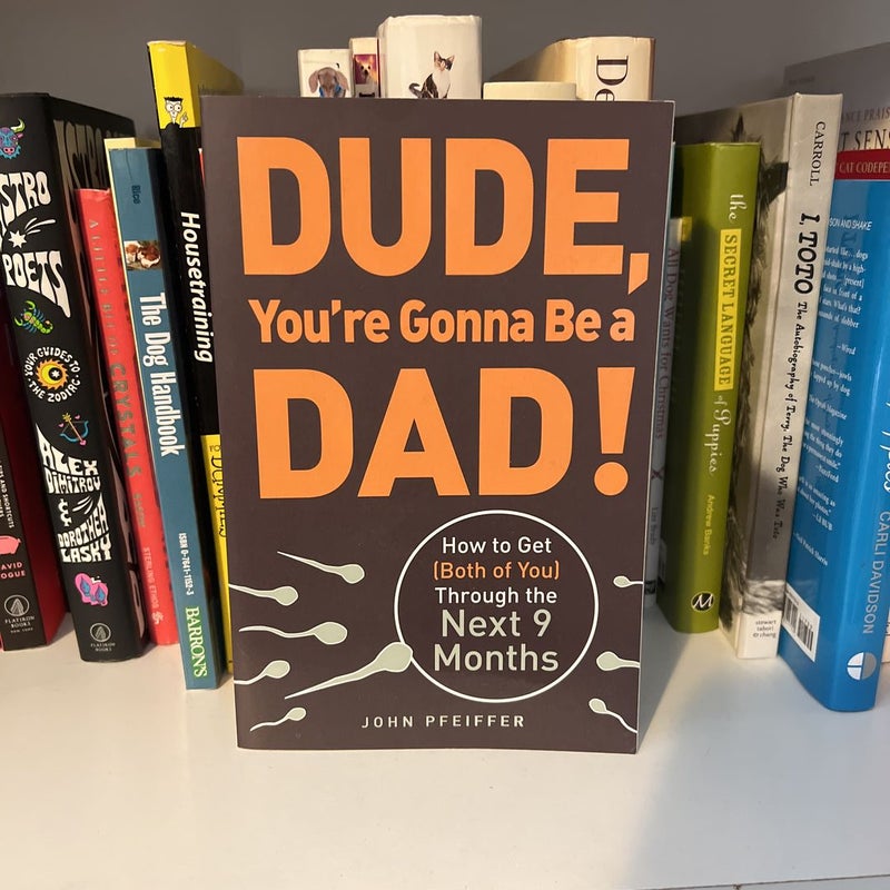 Dude, You're Gonna Be a Dad!