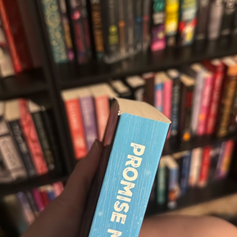 Promise Me Not by Meagan Brandy, Paperback | Pangobooks