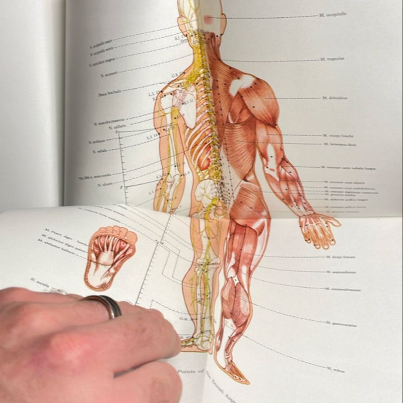 An Outline of Chinese Acupuncture (1975)