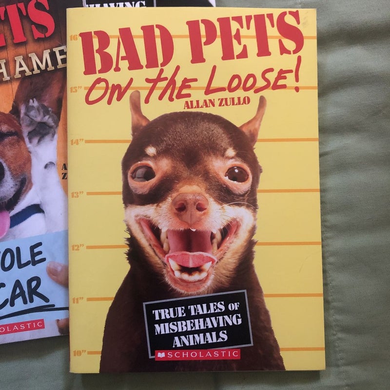 Bad Pets Book Set