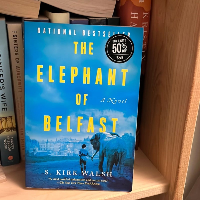 The Elephant of Belfast