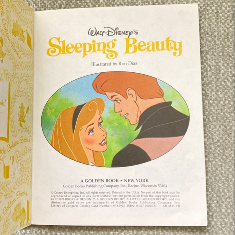 Sleeping Beauty (Disney Princess)