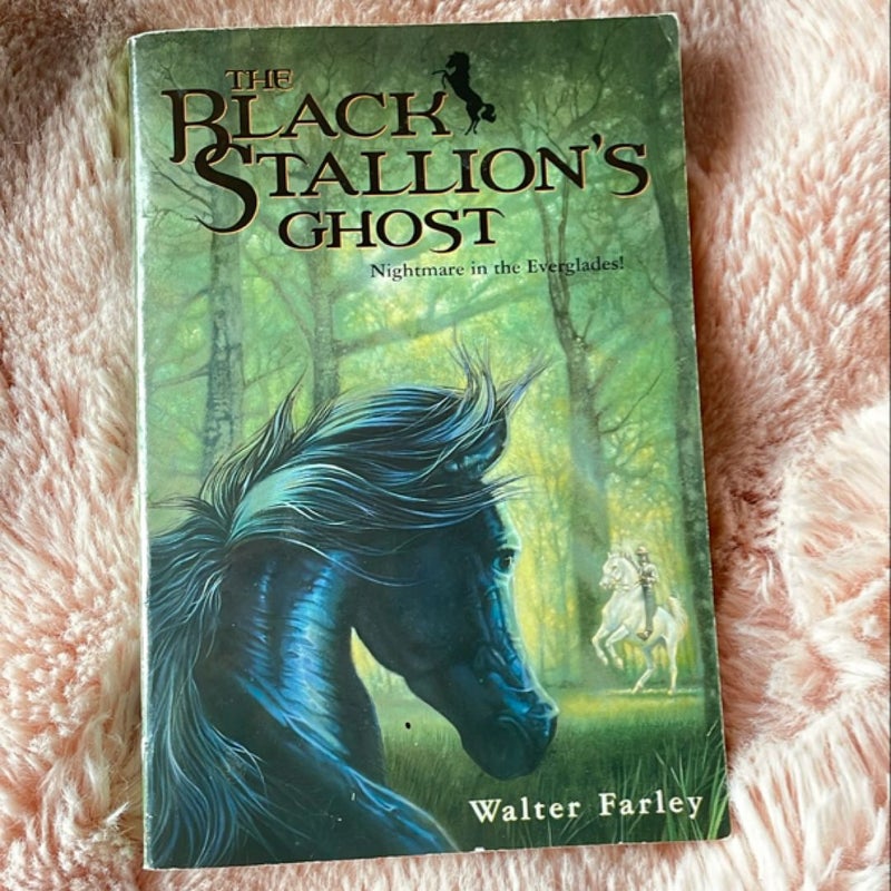 The black stallion’s ghost