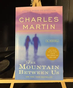 The Mountain Between Us