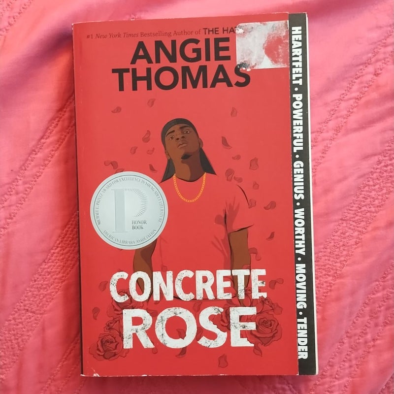Concrete Rose