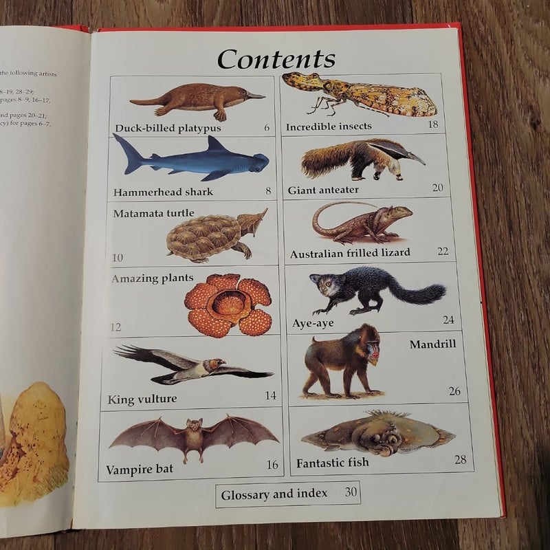 Bizarre Beasts by Anita Ganeri, Claire Robinson