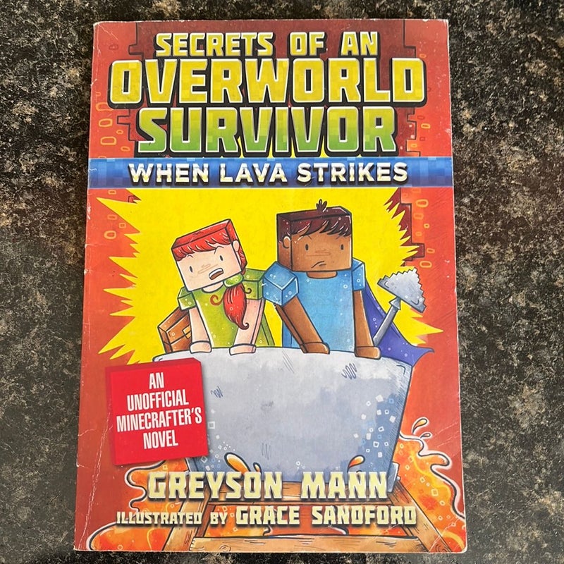 Secrets of an Overworld Survivor