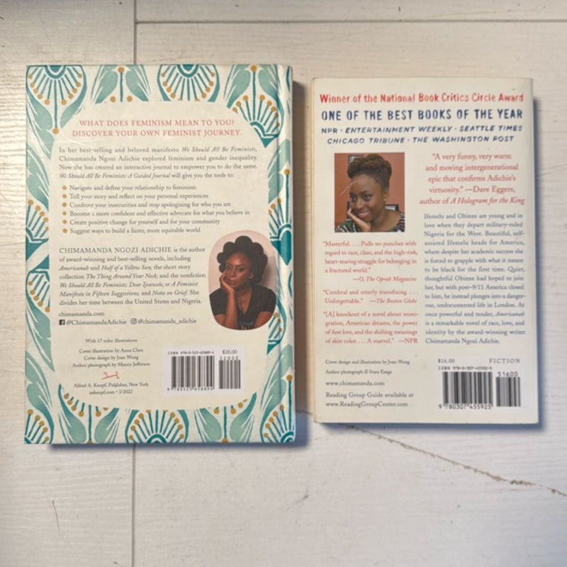 Americanah & We Should All Be Feminists 