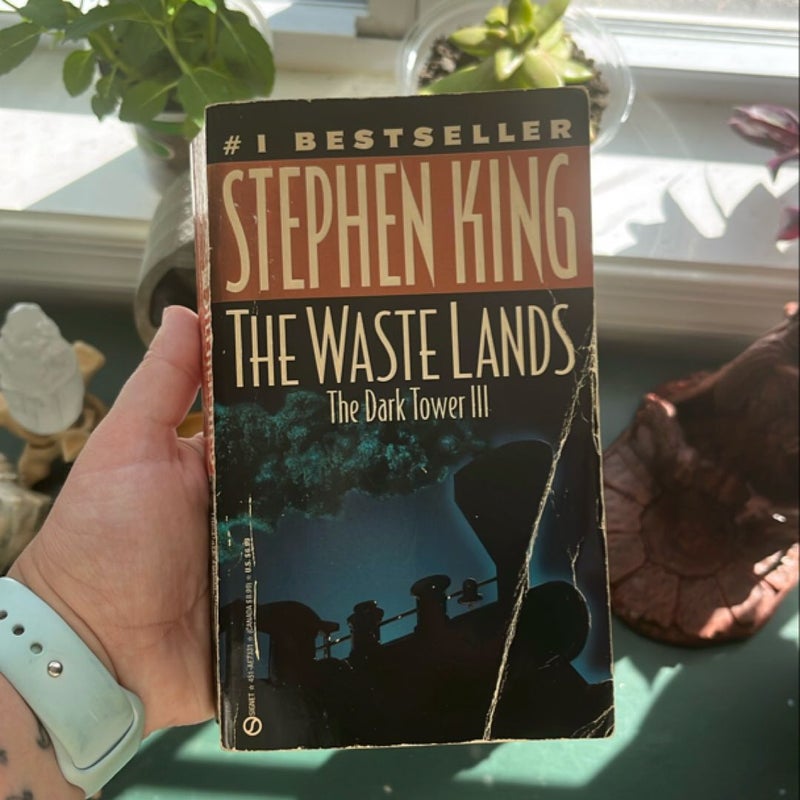 The Waste Lands