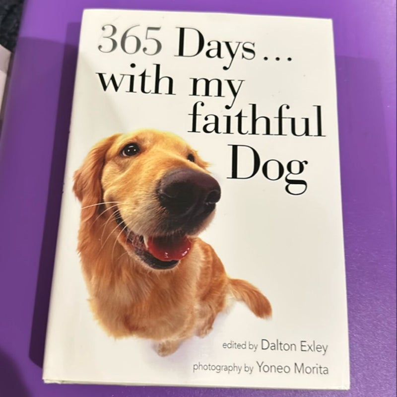 365 Days… With my faithful Dog