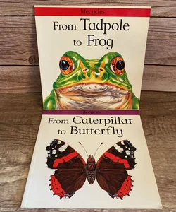 Lifecycles Bundle: From Caterpillar to Butterfly + From Tadpole to Frog
