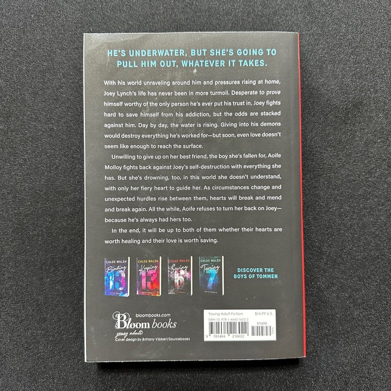 Redeeming 6 OOP Ombré Spine