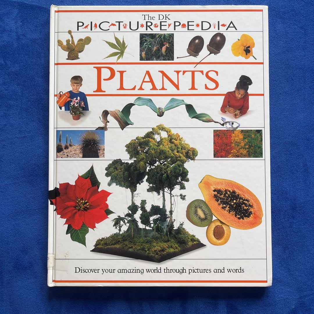 Plants