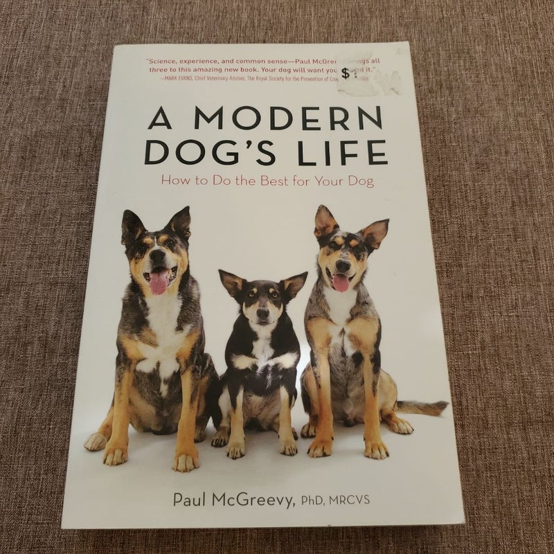 A Modern Dog's Life