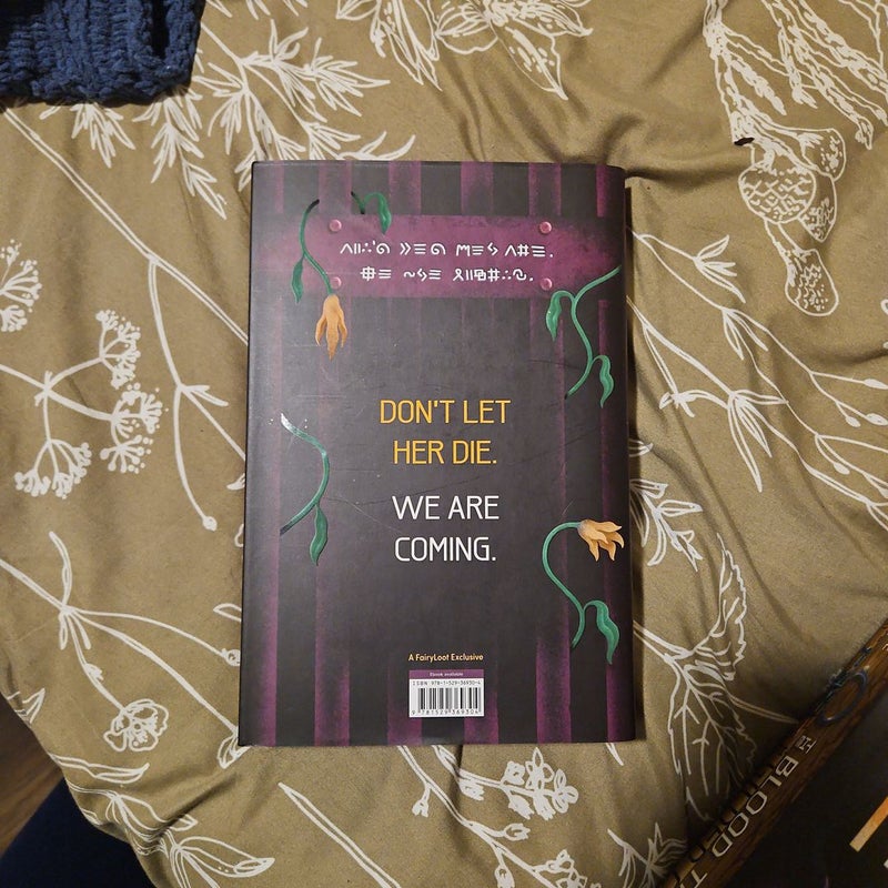 The Prison Healer Fairyloot edition