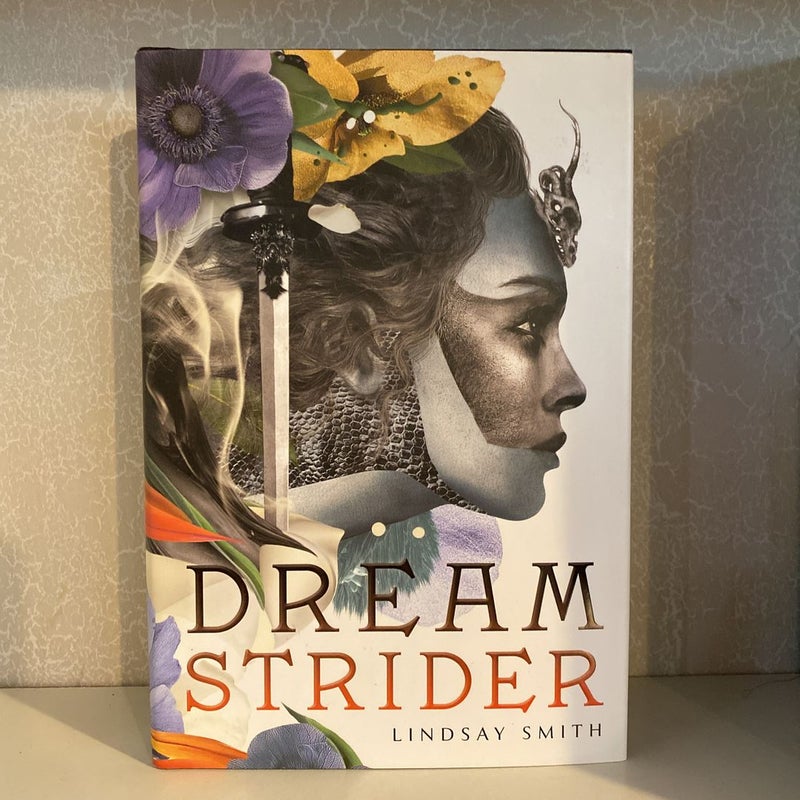 Dreamstrider