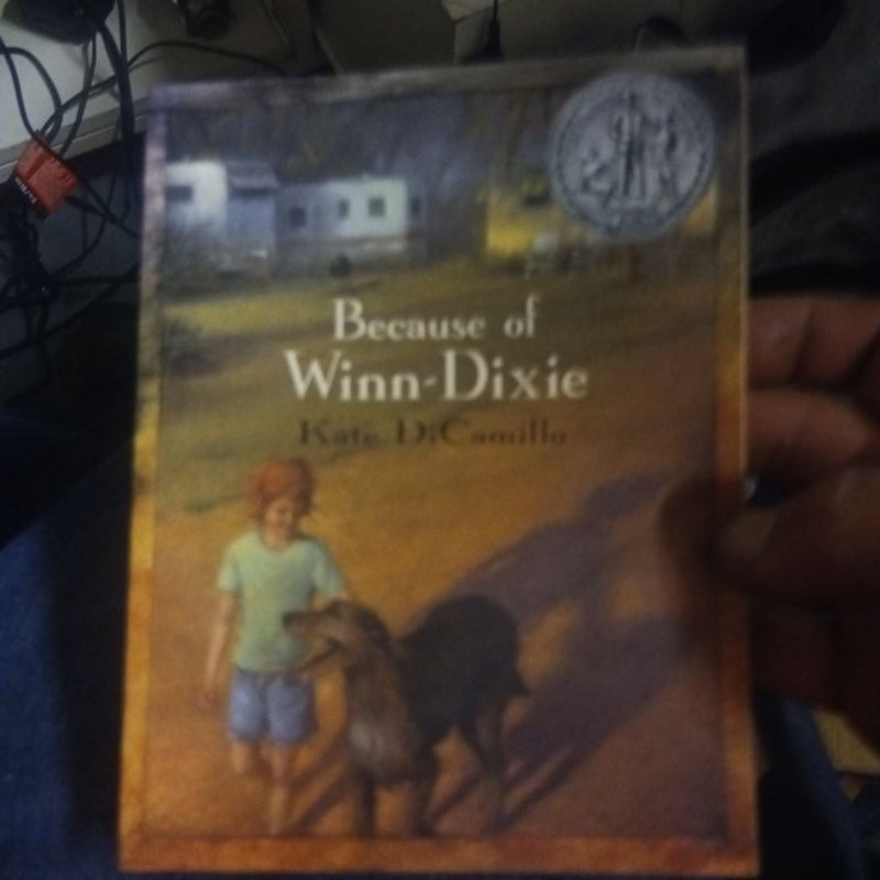 Because of Winn-Dixie