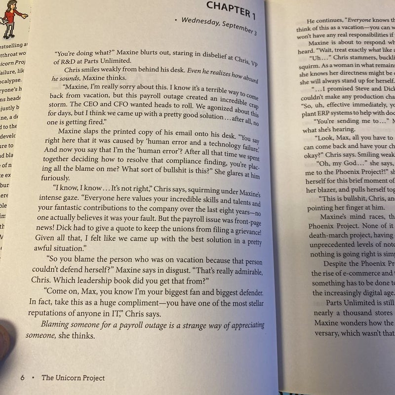 The Unicorn Project by Gene Kim